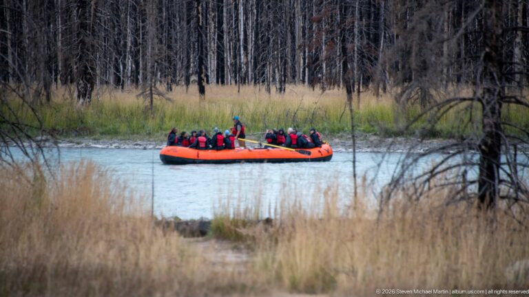 Orange raft carrying helmeted passengers on a pale river, seen through grasses and standing dead trees.