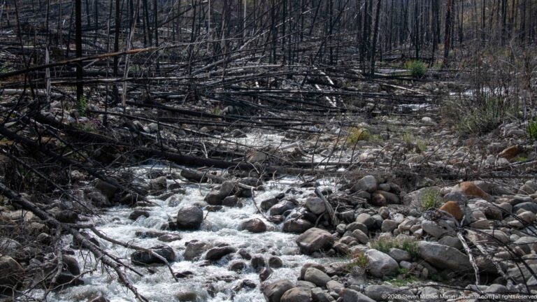 Small whitewater stream flowing among rounded rocks, charred logs, and standing burned trees with scattered green regrowth.