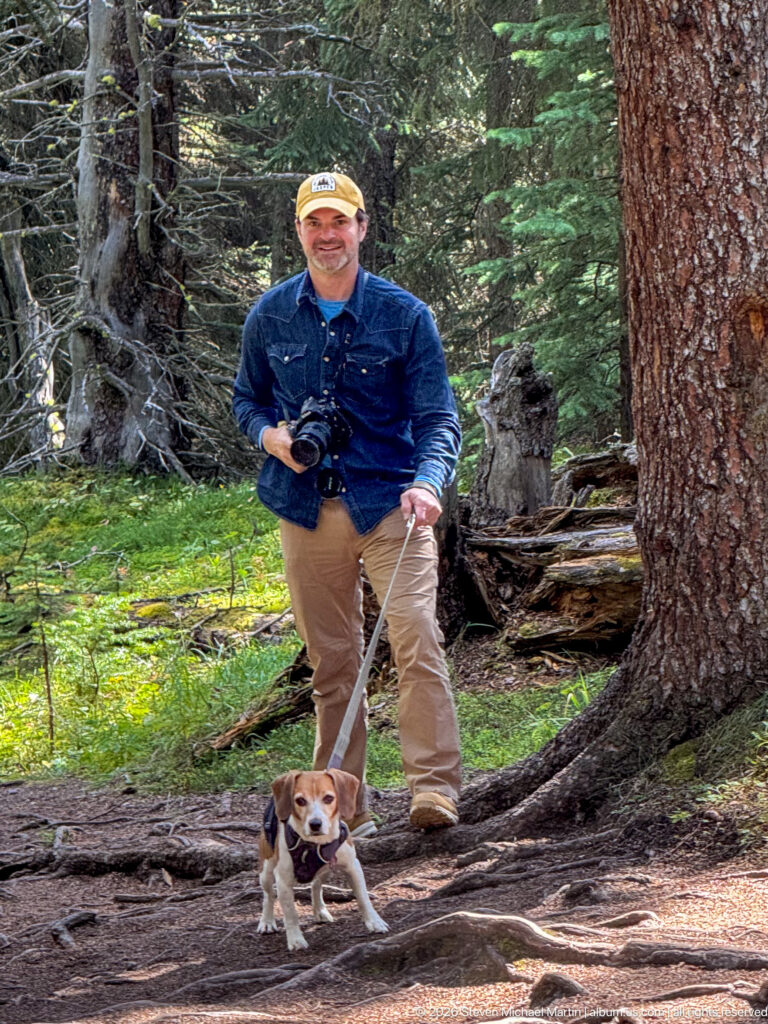 Hiker with camera gear and a beagle beside a large conifer trunk on a forest trail.