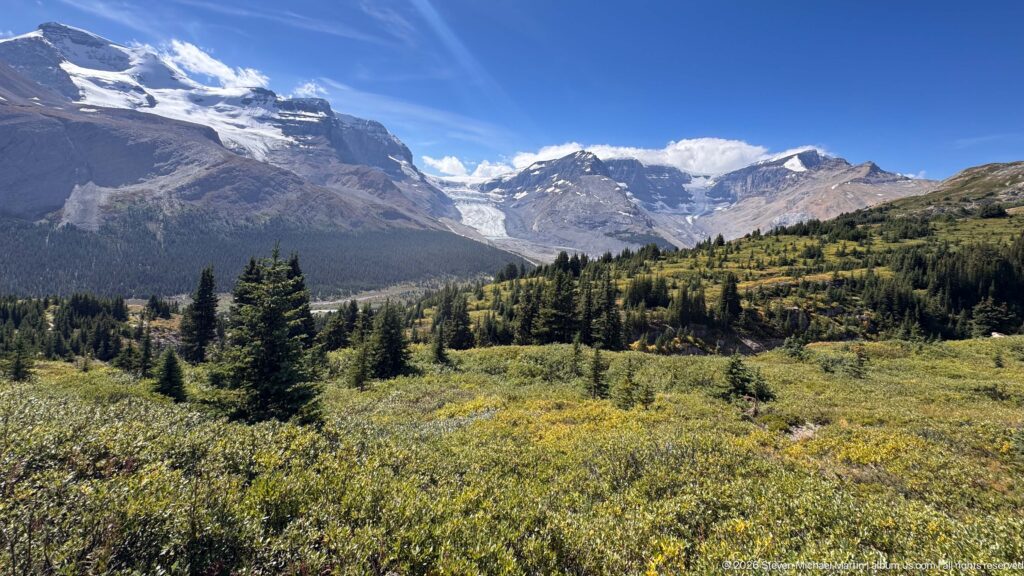Low shrubs and conifers in the foreground with a broad glaciated mountain basin and snowy ridges beyond.