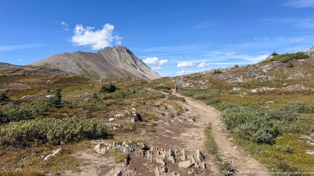 Rocky dirt trail curving through low alpine shrubs toward a jagged gray mountain ridge.