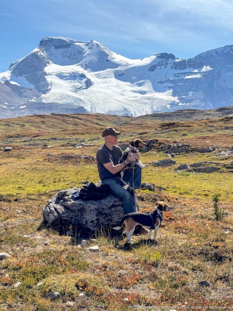 Seated hiker with two beagles on alpine tundra, with broad glaciers and mountain slopes in the distance.