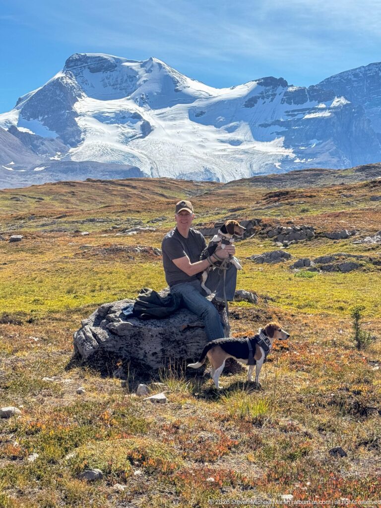 Hiker seated with two beagles amid broad autumn-colored tundra with glacier-covered mountains behind.