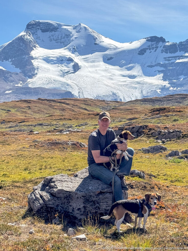 Hiker seated on a rock with two beagles on autumn tundra before a broad glacier and snowfield.