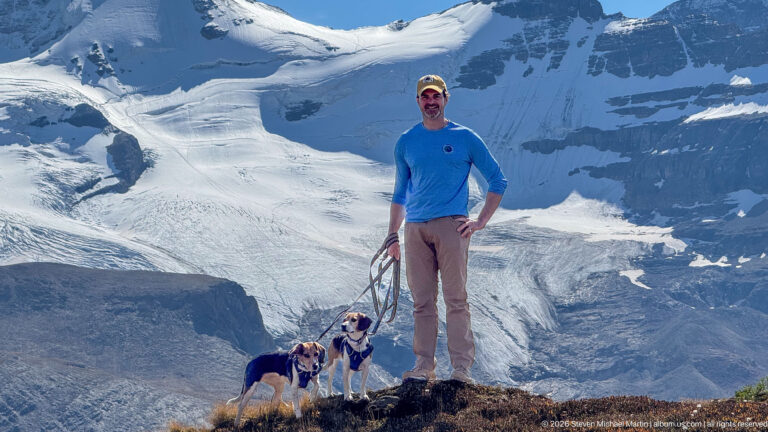 Hiker standing with two beagles on alpine ground in front of a broad glacier and snowy mountain wall.
