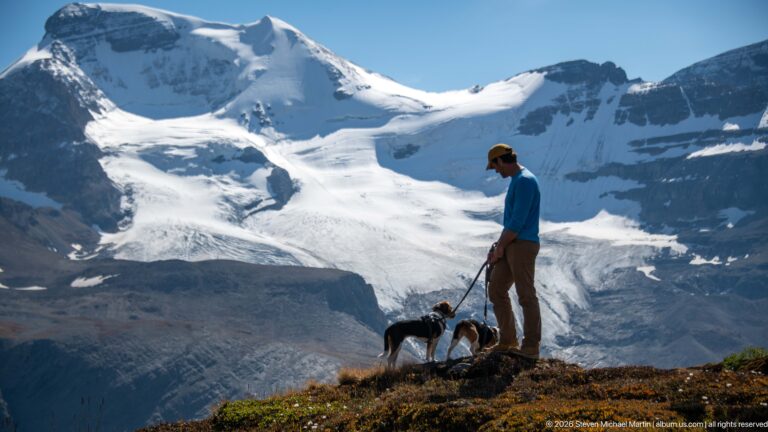 Side view of a hiker with two beagles on alpine tundra before a bright glacier-covered mountain basin.