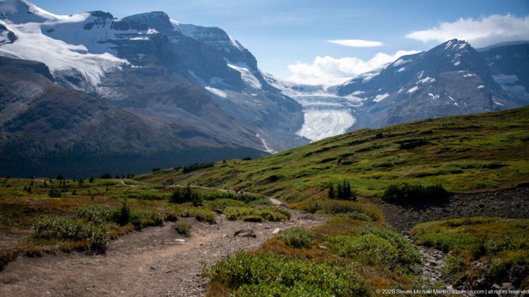 Dirt trail curving through green alpine tundra toward a large glacier between dark mountain walls.