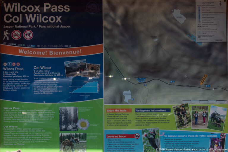 Bilingual Wilcox Pass trail information panel with topographic map, route guidance, and visitor notices.