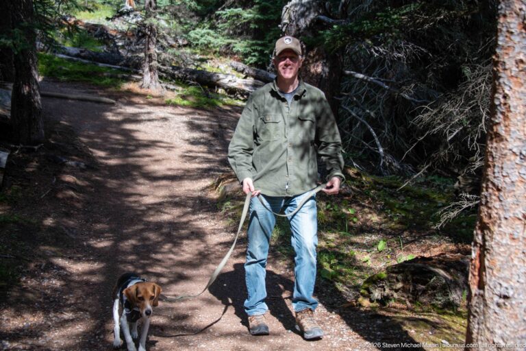 Man standing with a leashed beagle on a shaded dirt trail among tall conifers and fallen logs.