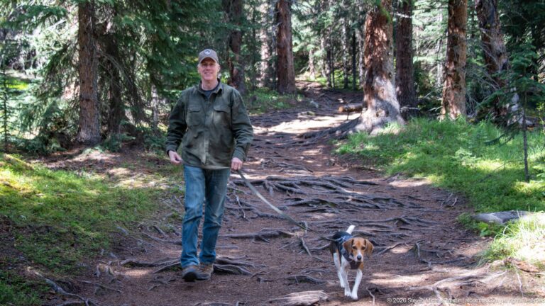 Man walking a leashed beagle along a root-covered dirt trail through mature conifer forest.