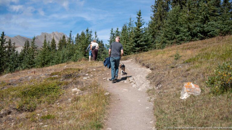 Three hikers walking uphill on a dirt trail beside spruce forest with a rocky ridge in the distance.
