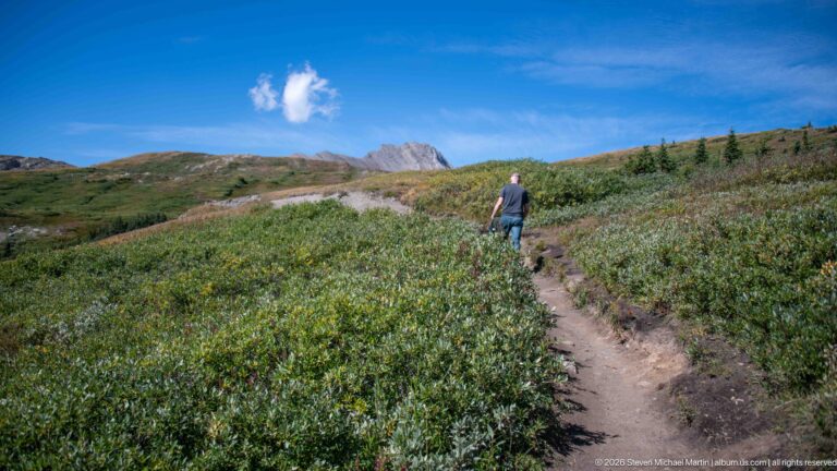Hiker walking a narrow dirt trail through low alpine shrubs beneath a rocky ridge and blue sky.