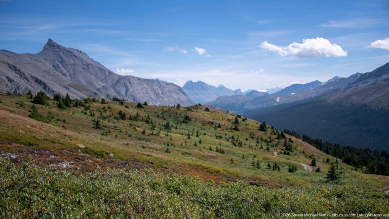 Open alpine slope with scattered conifers descending toward a deep valley framed by layered gray mountain ridges.