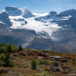 Glaciated mountain massif with broad snowfields above dark cliffs, seen across alpine vegetation from Wilcox Pass.