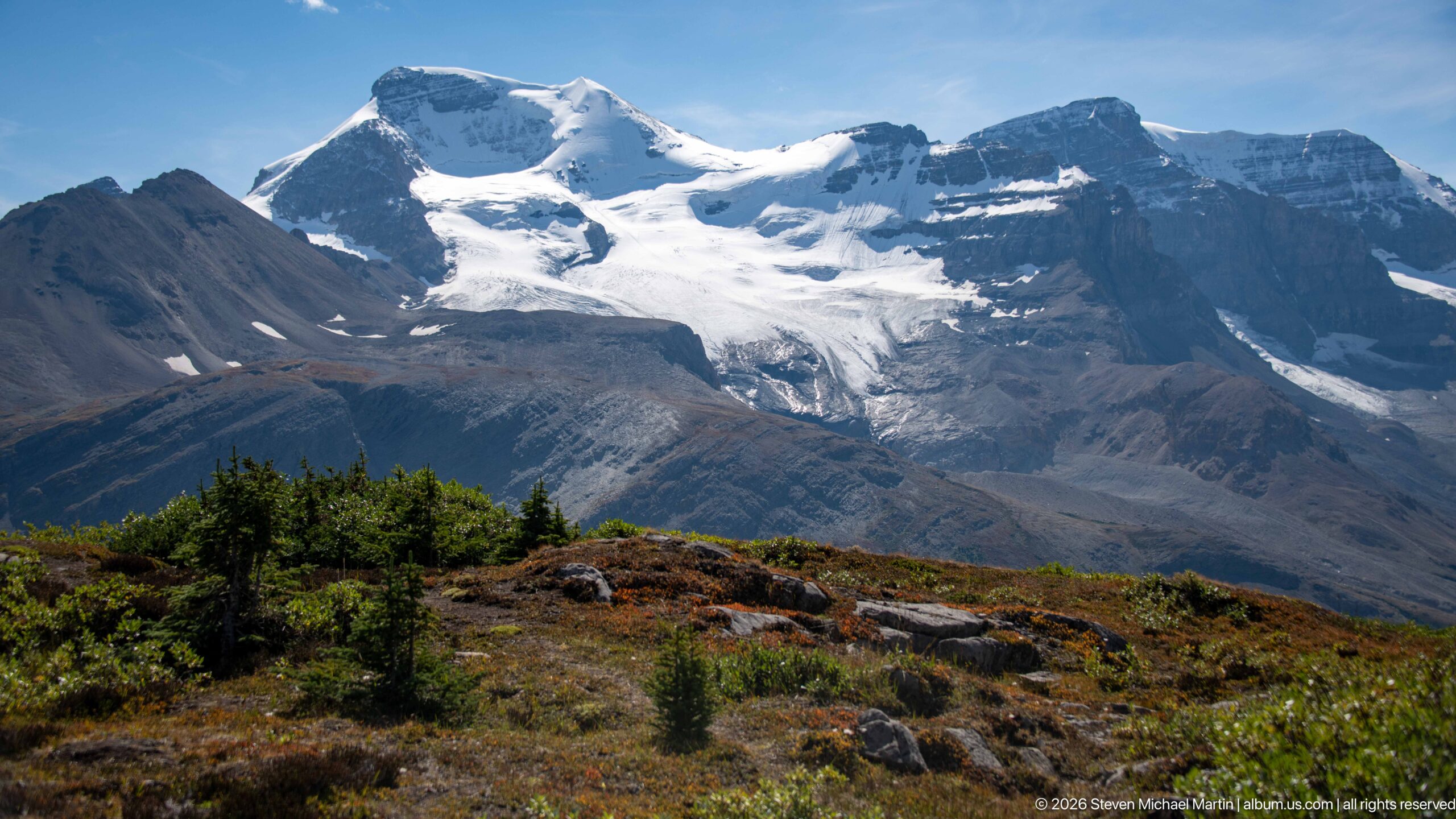 Glaciated mountain massif with broad snowfields above dark cliffs, seen across alpine vegetation from Wilcox Pass.