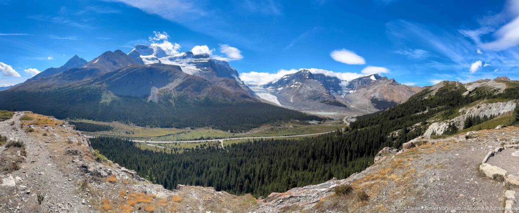 Elevated view across a forested valley toward jagged peaks, snowfields, and glacier ice under blue sky.