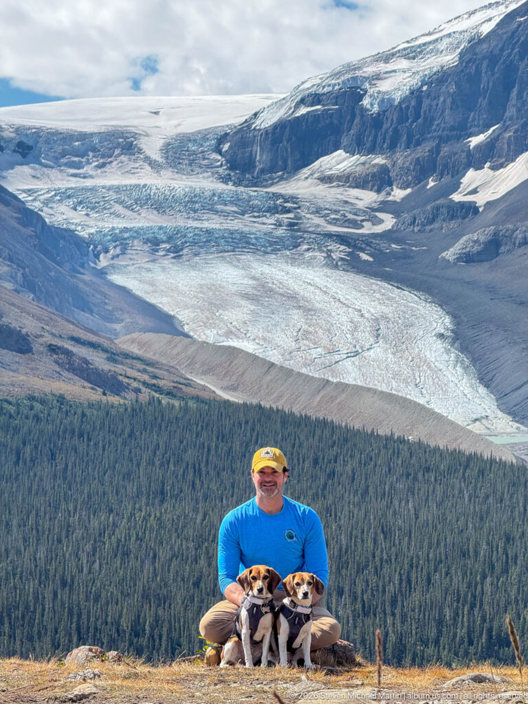 Hiker with two beagles seated at a high overlook in front of the broad Athabasca Glacier.