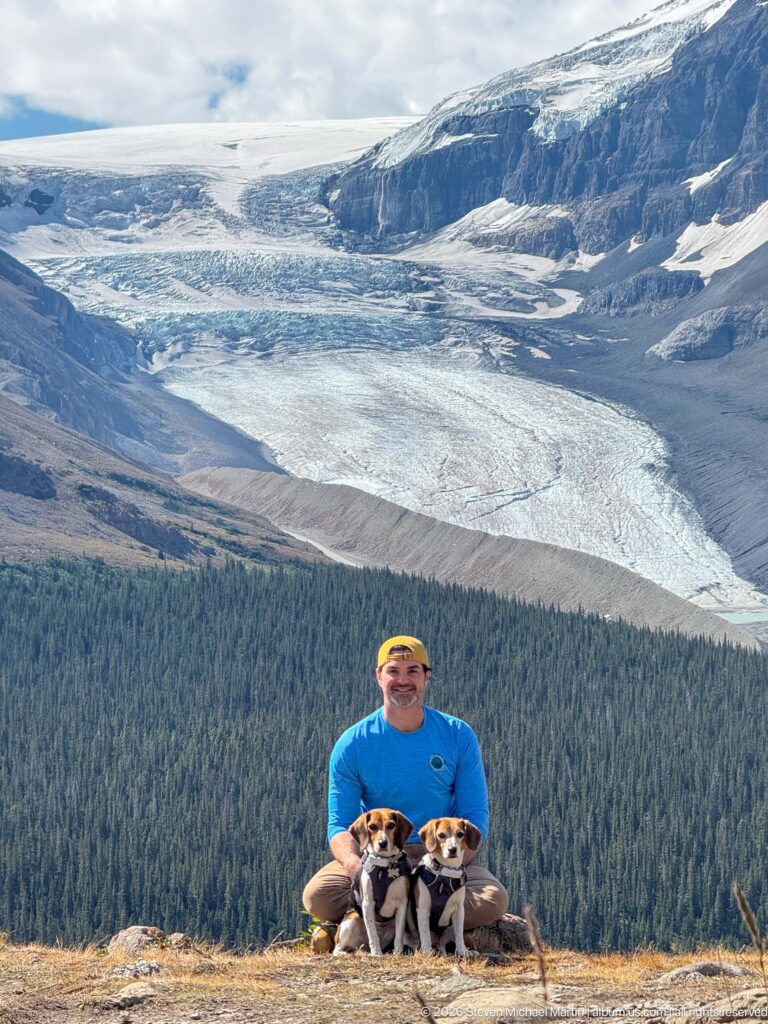 Seated hiker holding two beagles at an overlook with Athabasca Glacier spreading across the background.
