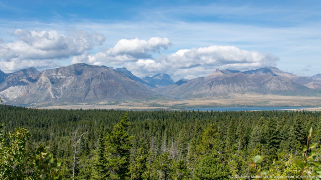 Wide Canadian Rockies panorama beyond dense conifer forest, with gray ridges, distant peaks, and broken clouds.