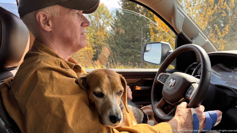 Passenger seated inside a vehicle holding a small brown-and-white beagle-type dog, with autumn foliage visible through the window.