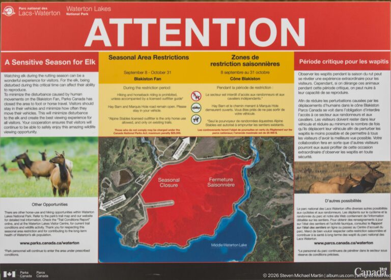 Parks Canada ATTENTION panel about seasonal elk restrictions with elk photographs and a map showing a red closure zone.