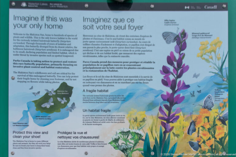 Bilingual butterfly habitat panel with purple lupines, yellow flowers, butterflies, a small map, and the heading Imagine if this were your only home.