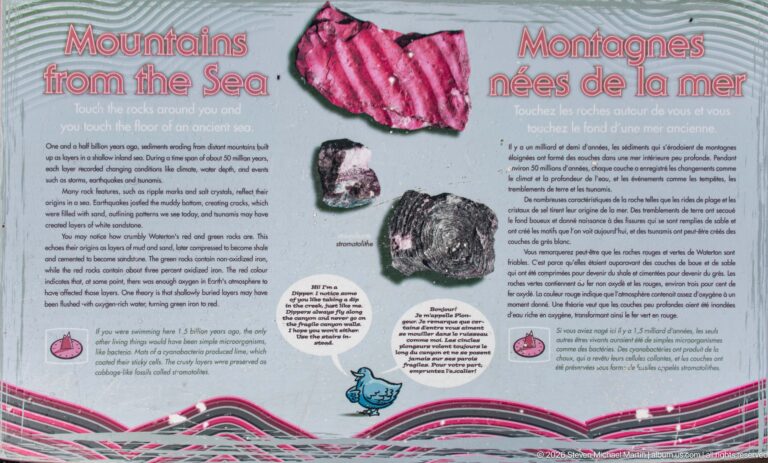 Bilingual Mountains Born of the Sea geology panel with red, pale, and dark rock examples and layered-rock graphics.