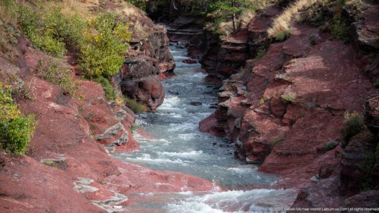 Rapids flowing through a narrow red-rock gorge with layered walls, grasses, and shrubs above.