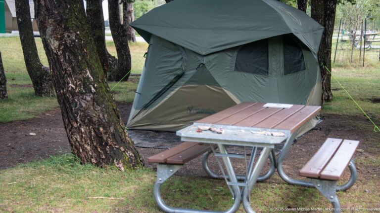 Large green-and-gray tent behind a weathered picnic table at a wooded Waterton Lakes campsite.