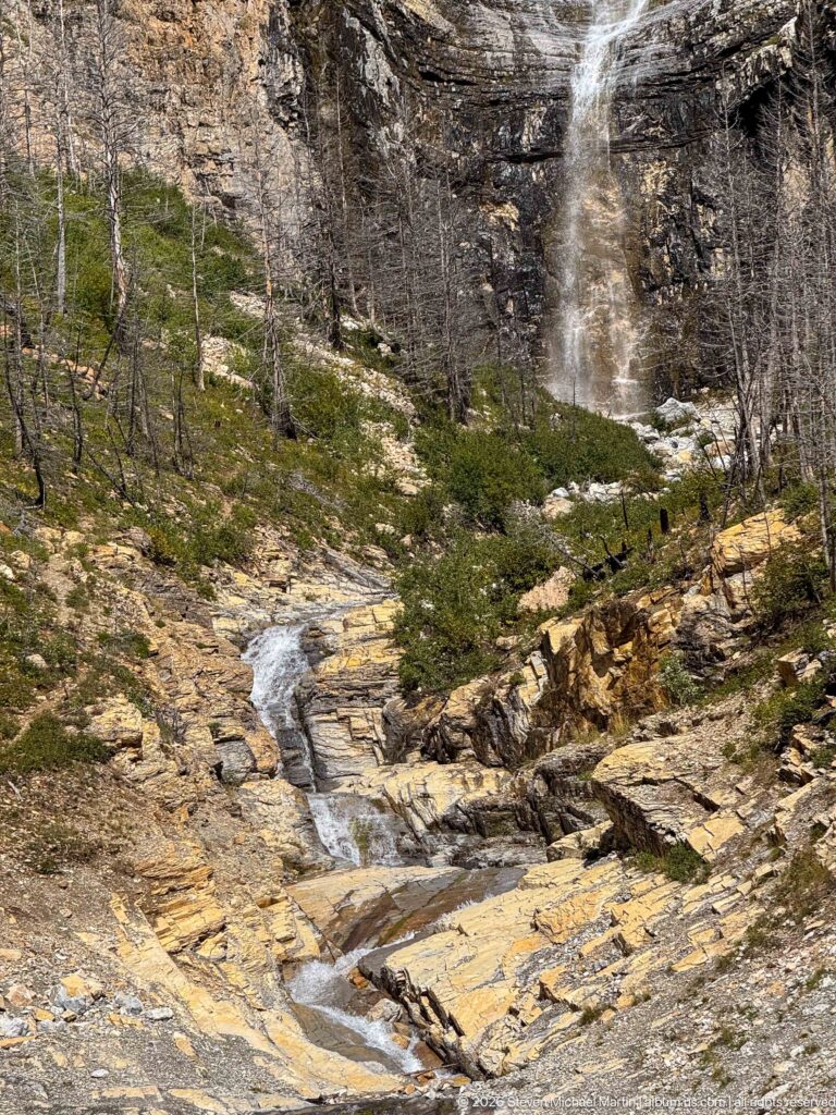 Shallow stream winding over pale fractured bedrock below a tall waterfall, with shrubs and standing dead trees on surrounding slopes.