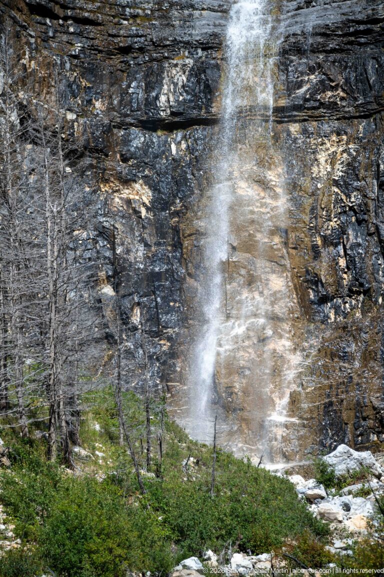 Narrow waterfall spreading into pale veils over a dark layered cliff above green shrubs and scattered dead trunks.