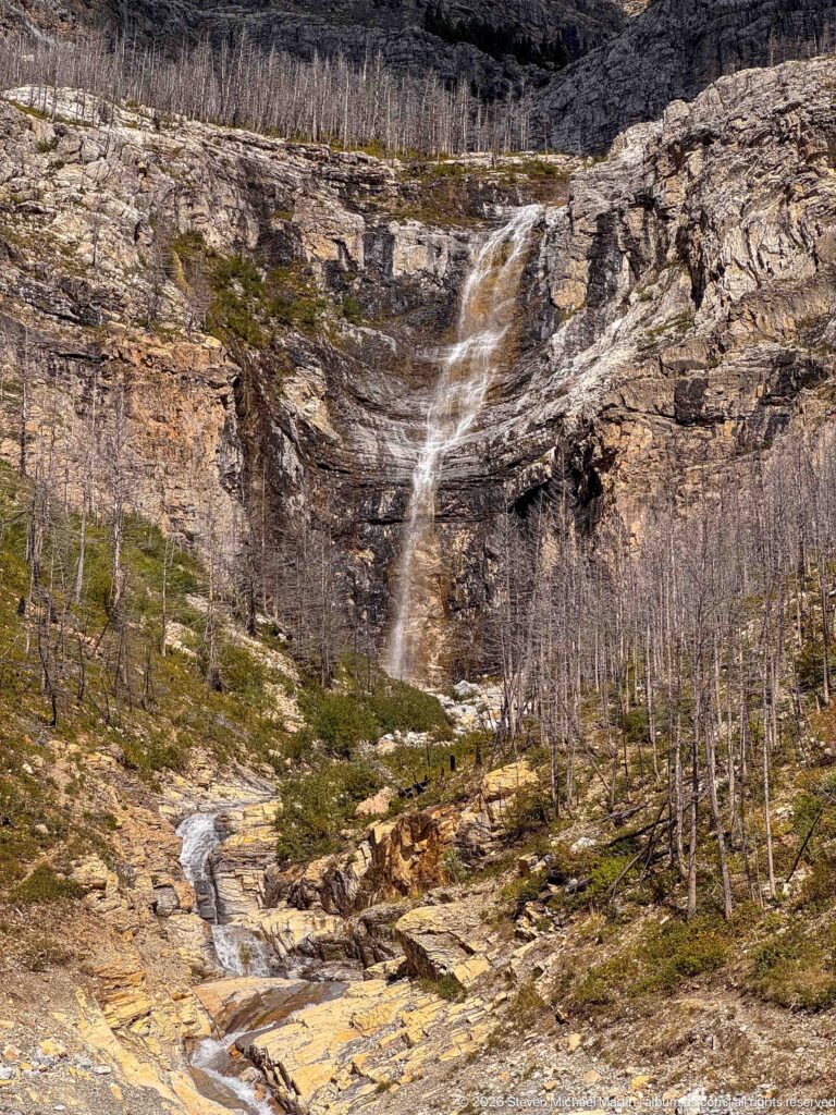 Slender waterfall descending a dark cliff into a stream flowing over pale bedrock among standing dead trees.