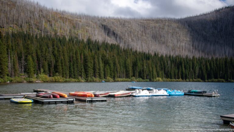 Colorful small recreational boats moored at Cameron Lake docks below conifer forest and a broad slope of standing dead trees.