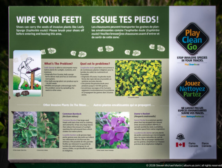 Play Clean Go invasive-species panel with boot prints, plant photographs, bilingual text, and instructions to clean footwear.
