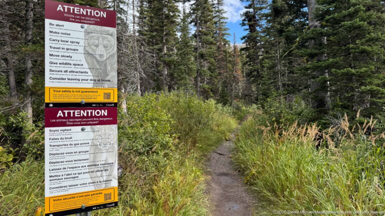 Narrow forest trail at Cameron Lakeshore passing beside a tall bilingual wildlife-warning sign amid grasses and conifers.