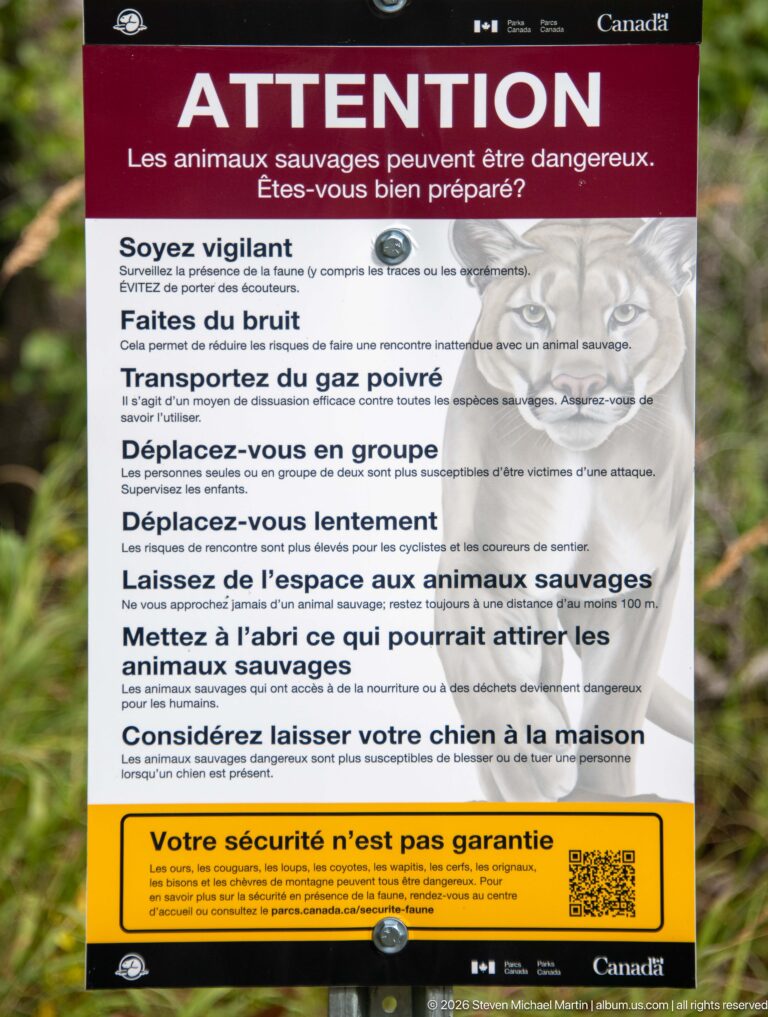 French Parks Canada wildlife safety sign with a large bear illustration and bold instructions for avoiding dangerous wildlife encounters.