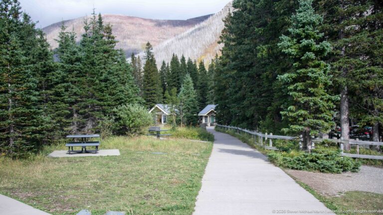 Paved path through evergreen trees toward small buildings at Cameron Lakeshore, with a picnic table and wooden rail beside it.