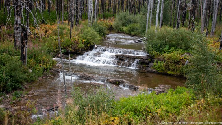 Shallow forest stream flowing over several low rock steps amid green shrubs, autumn vegetation, and standing dead trunks.