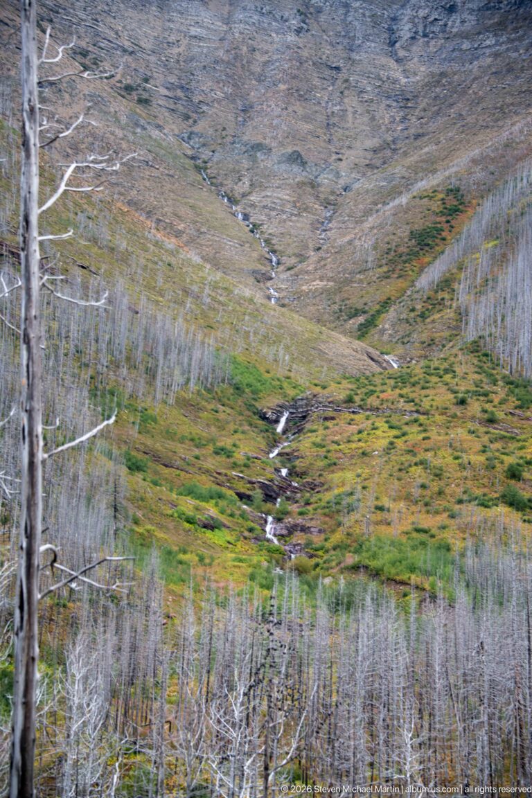 Small stream descending through green and rust-colored vegetation in a valley filled with standing dead trees and gray mountain slopes.