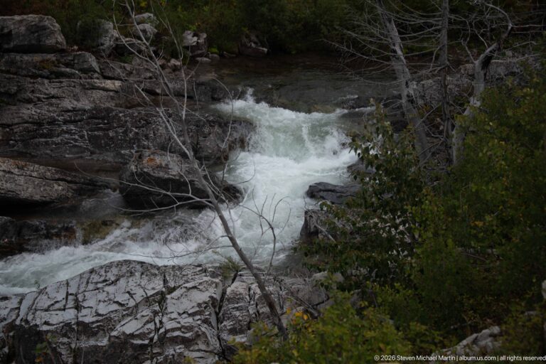 Narrow white-water cascade confined by dark layered rock, shrubs, and bare branches in a forested mountain drainage.
