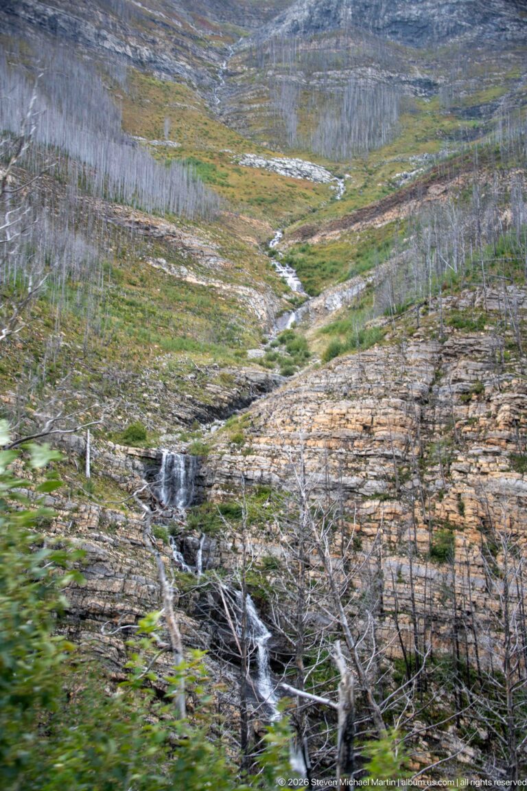 Small cascade flowing over layered rock through a mountain slope with low green vegetation and many standing dead trees.