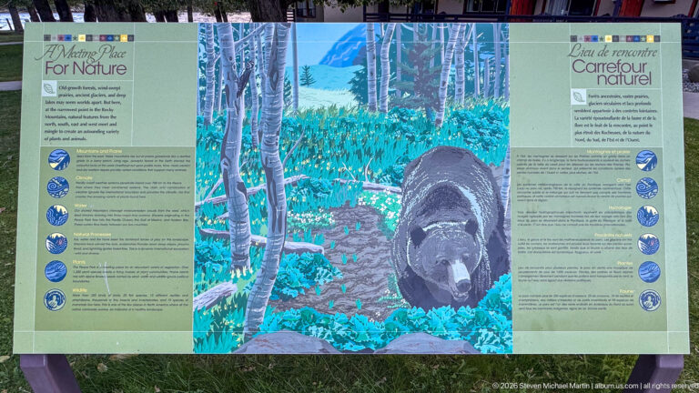 Bilingual Careful Nature panel centered on a black bear moving through a stylized aspen forest, with text and circular symbols.