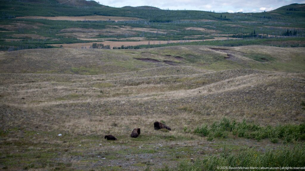 Small group of distant bison in a broad rolling grassland basin with layered hills beyond.