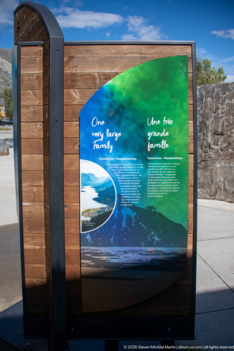 Bilingual “One very large family” exhibit panel in a wooden frame with blue-green landscape graphics.