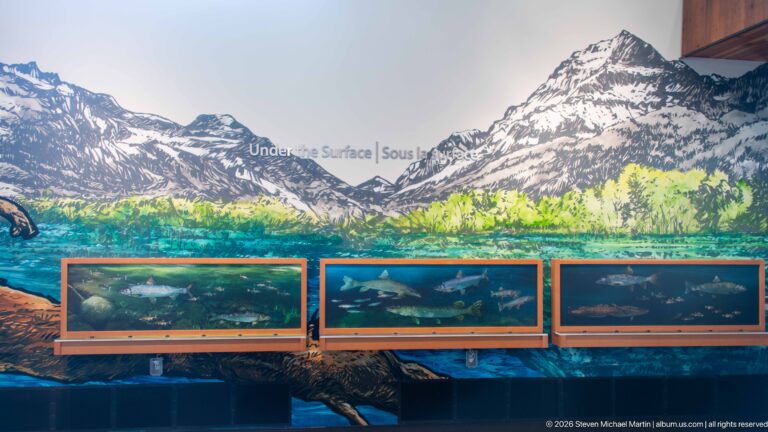 “Under the Surface” exhibit with mountain-lake mural and three horizontal underwater habitat display windows.