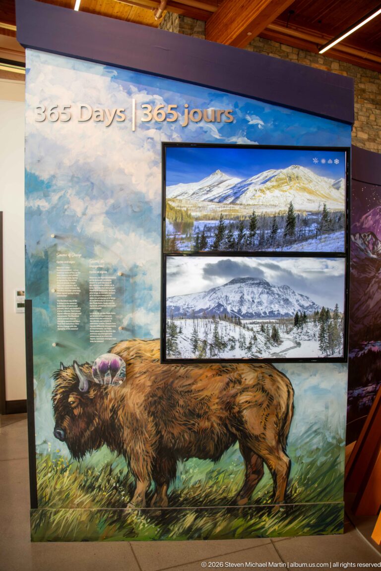 Bison illustration beneath a 365 Days bilingual exhibit with four seasonal mountain landscape panels.