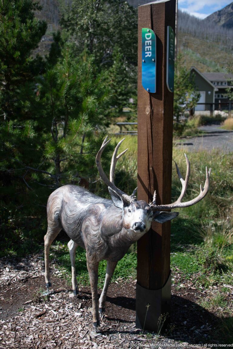 Life-size antlered deer sculpture beside a wooden marker labeled DEER on the visitor center grounds.