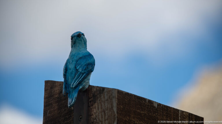 Blue bird sculpture perched upright on the top edge of a wooden outdoor interpretive marker.